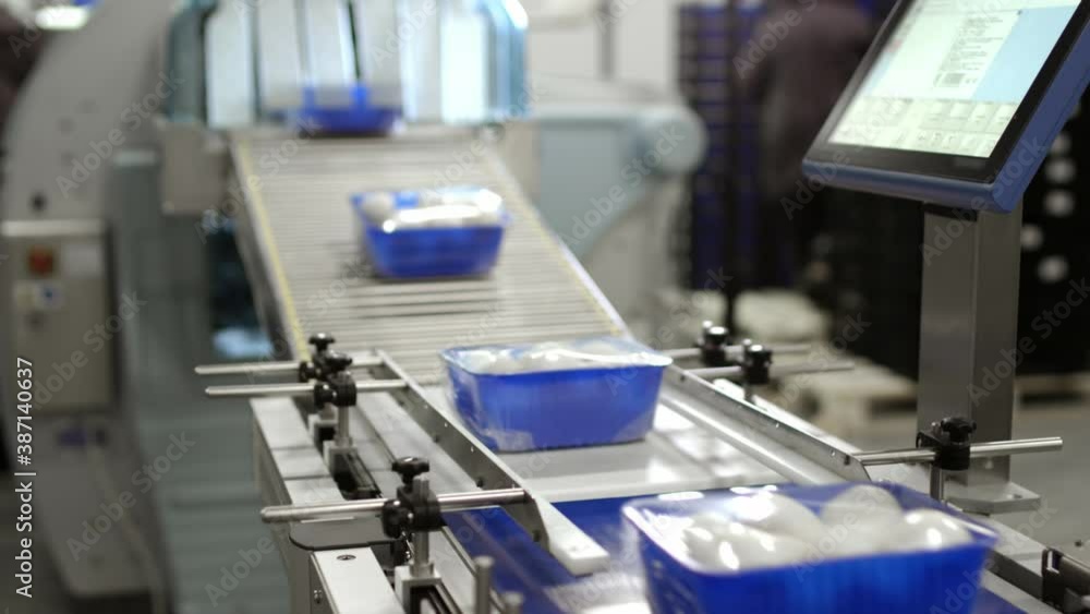 Packaging and packaging of mushrooms in production. White champignon mushrooms are packed in plastic wrap. Automated conveyor belt behind the factory. Mushroom farm. Packaging and packaging of mushrooms in production. White champignon mushrooms are packed in plastic wrap. Automated conveyor belt behind the factory. Mushroom farm.
