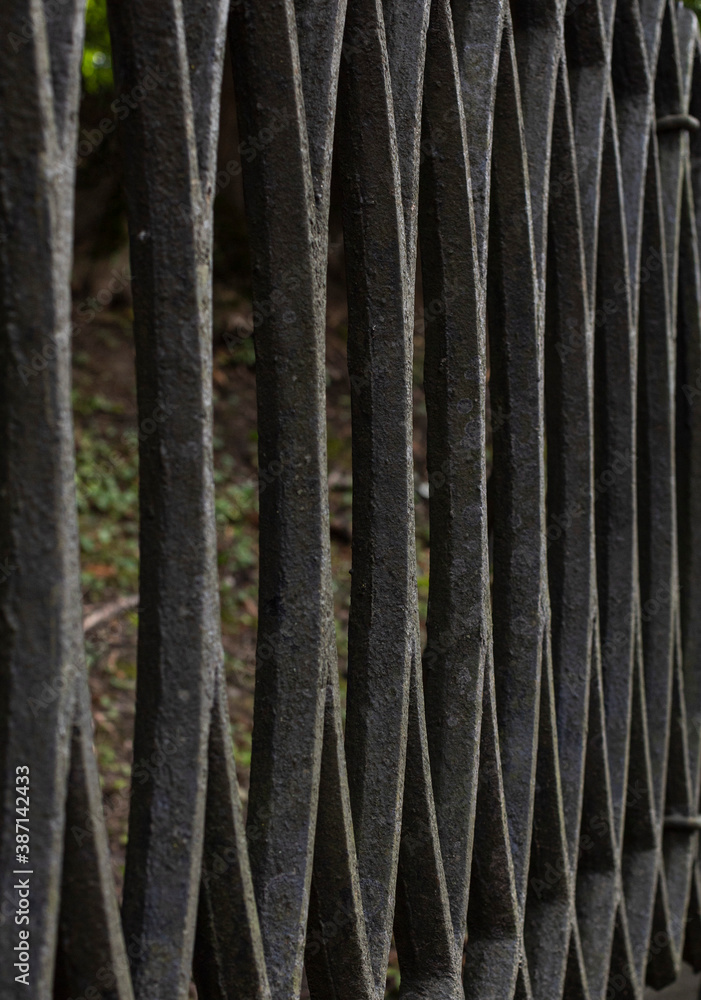 Natural background. Texture of metal fence. Natural background. Texture of metal fence.