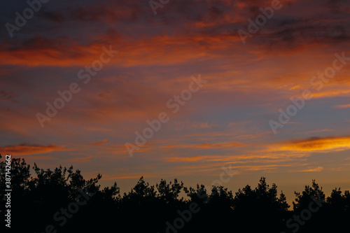 Breathtaking early sunrise over the forest with orange, goldlike and pink clouds.