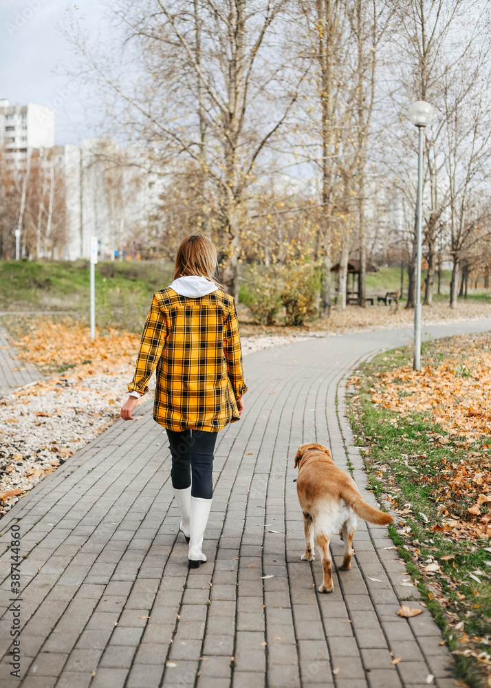 Fototapeta premium A young girl walks along the alley in the park with her dog.