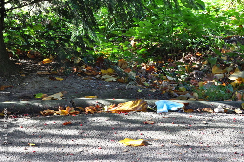 Disposable blue face mask antisocially thrown away in a park in autumn 2020 © Pietersma