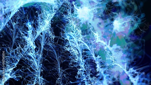 Abstract bg like winter frost pattern in 3d space. Particles form branches like frost patterns from blue christmas tree branches. Christmas background, spreading frost like a window freezes but in 3d.