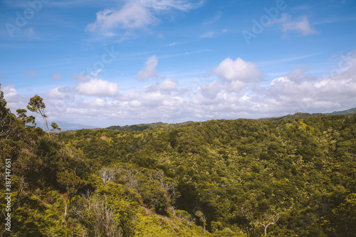 Aiea Loop Trail, Oahu, Hawaii
 photo