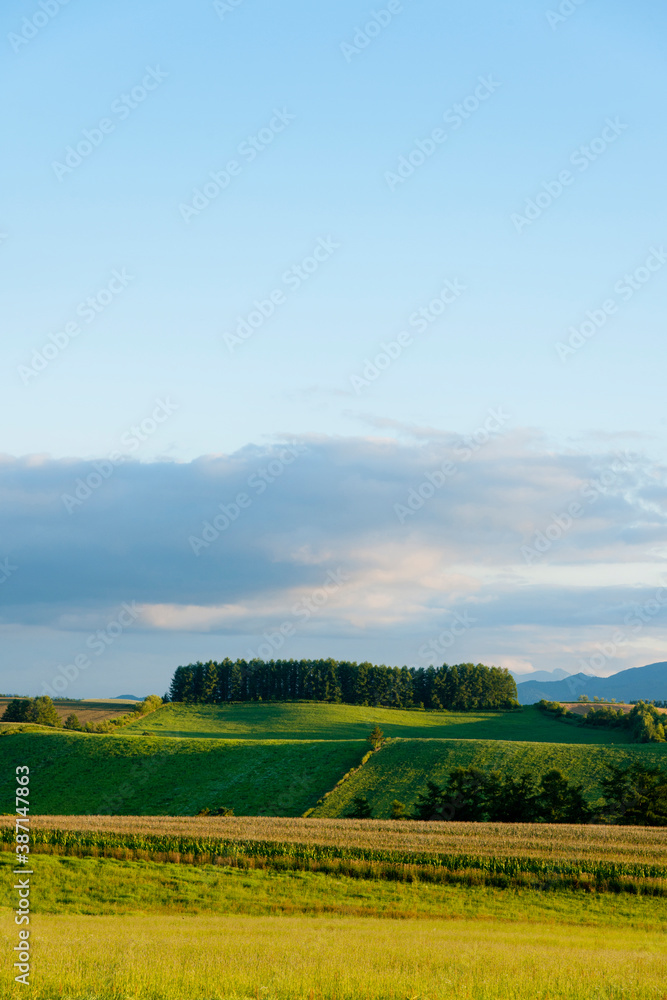 雄大な美瑛の風景