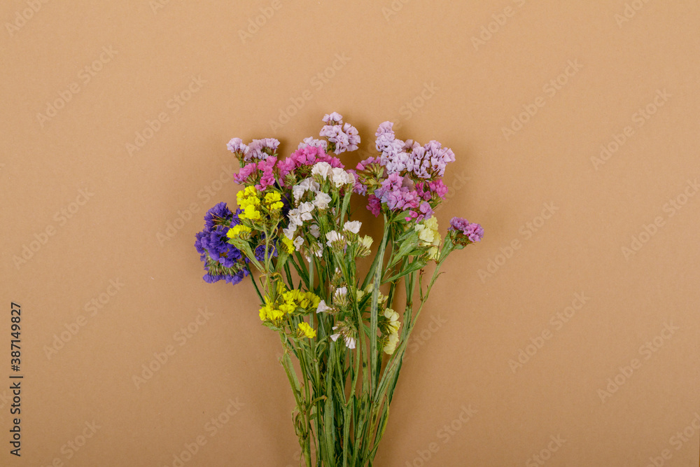 Colorful statice flowers on the beige background. Limonium sinuatum flowers. Beautiful colorful fresh statice flower bouquet. Copy space. Top view.