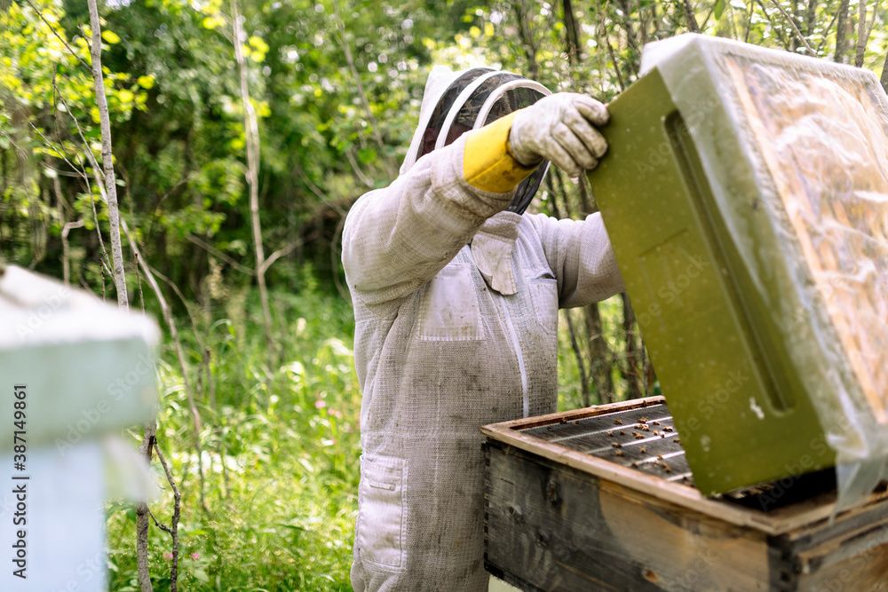 Beekeeping Beekeeping