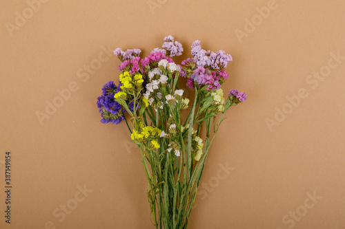 Colorful statice flowers on the beige background. Limonium sinuatum flowers. Beautiful colorful fresh statice flower bouquet. Copy space. Top view.