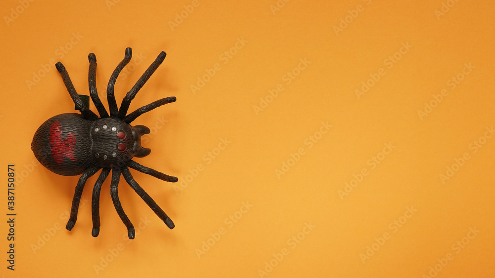 Black clockwork plastic toy spider on a orange background, close up. oncept of celebrating the day of the dead, Halloween.Top view, flat lay,copy space Black clockwork plastic toy spider on a orange background, close up. oncept of celebrating the day of the dead, Halloween.Top view, flat lay,copy space