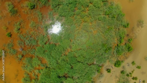 Grassy shrubs grown in shallow brown water, drone aerial birds eye sun reflecting off water. photo