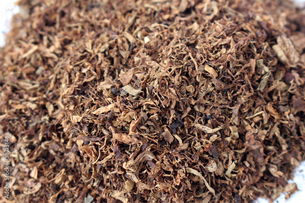 The brown tobacco flakes that grow in Indonesia. The brown tobacco flakes that grow in Indonesia.