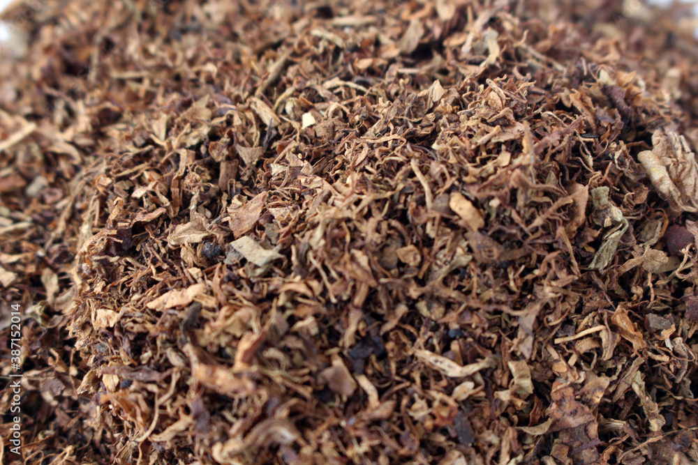 The brown tobacco flakes that grow in Indonesia. The brown tobacco flakes that grow in Indonesia.