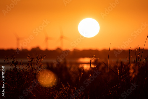 Sea coast in sunrise orange sky and big rising sun