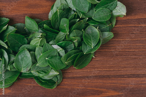 Rounded pile of green fresh leaves on a dark wood background. Nature concept. Close-up.