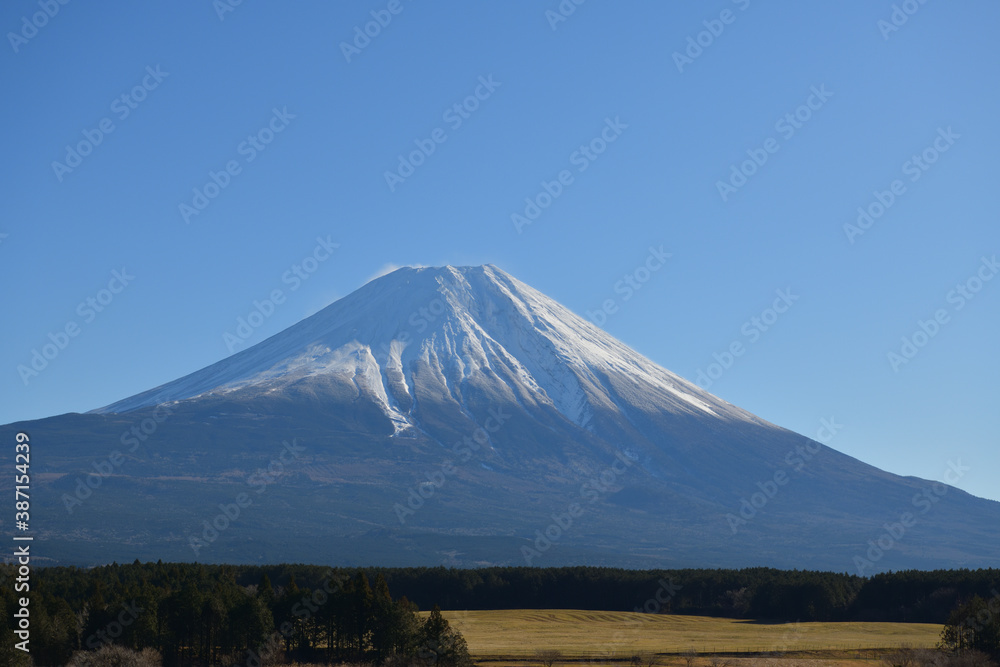 ふもとっぱらから見る冬の富士山