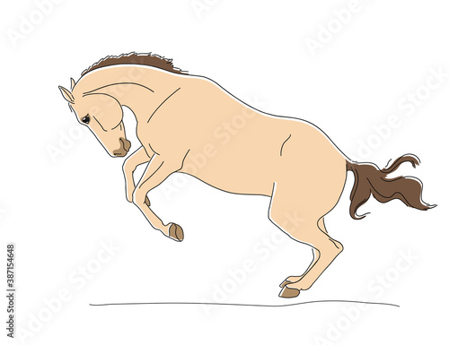 Dun horse having fun and jumping on the loose