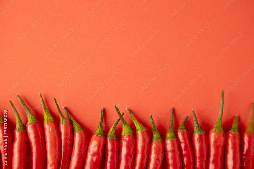 spicy red chili pepper on red background
