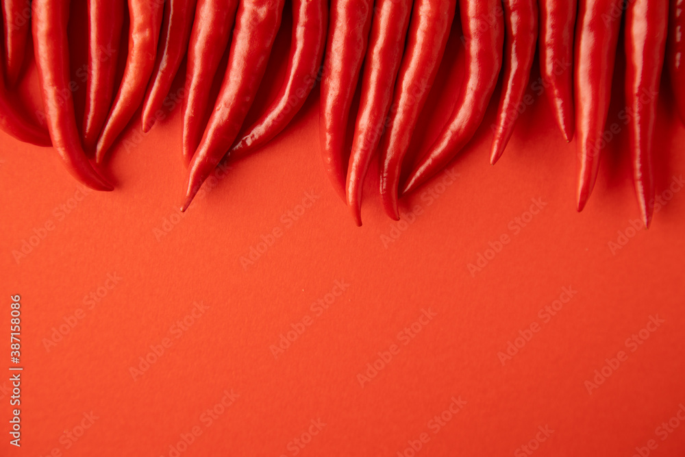 spicy red chili pepper on red background