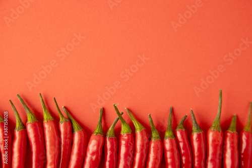 Obraz na płótnie spicy red chili pepper on red background w salonie