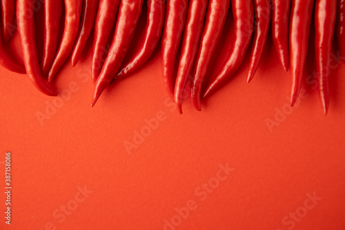 spicy red chili pepper on red background photo