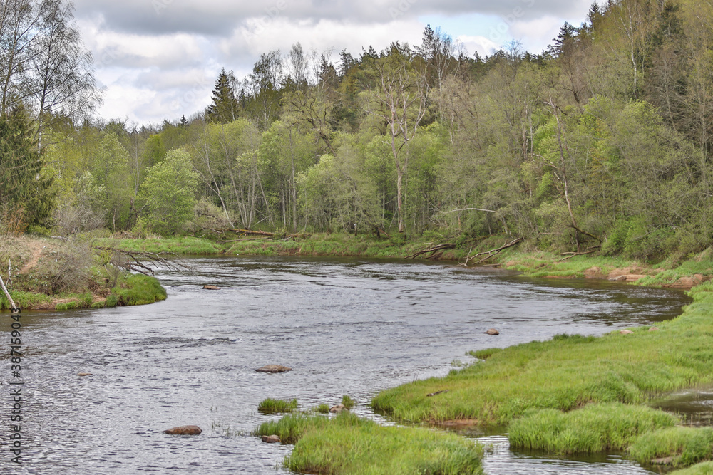 Landscape view of river Gauja on a warm, cloudy spring day. Landscape view of river Gauja on a warm, cloudy spring day.
