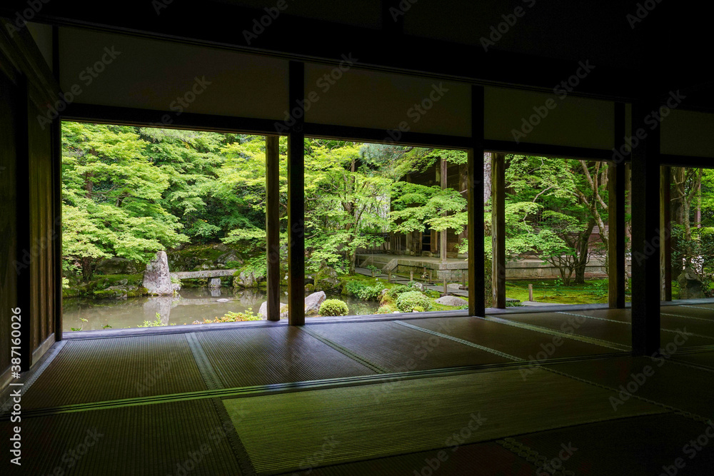Fototapeta premium 初夏の蓮華寺の風景