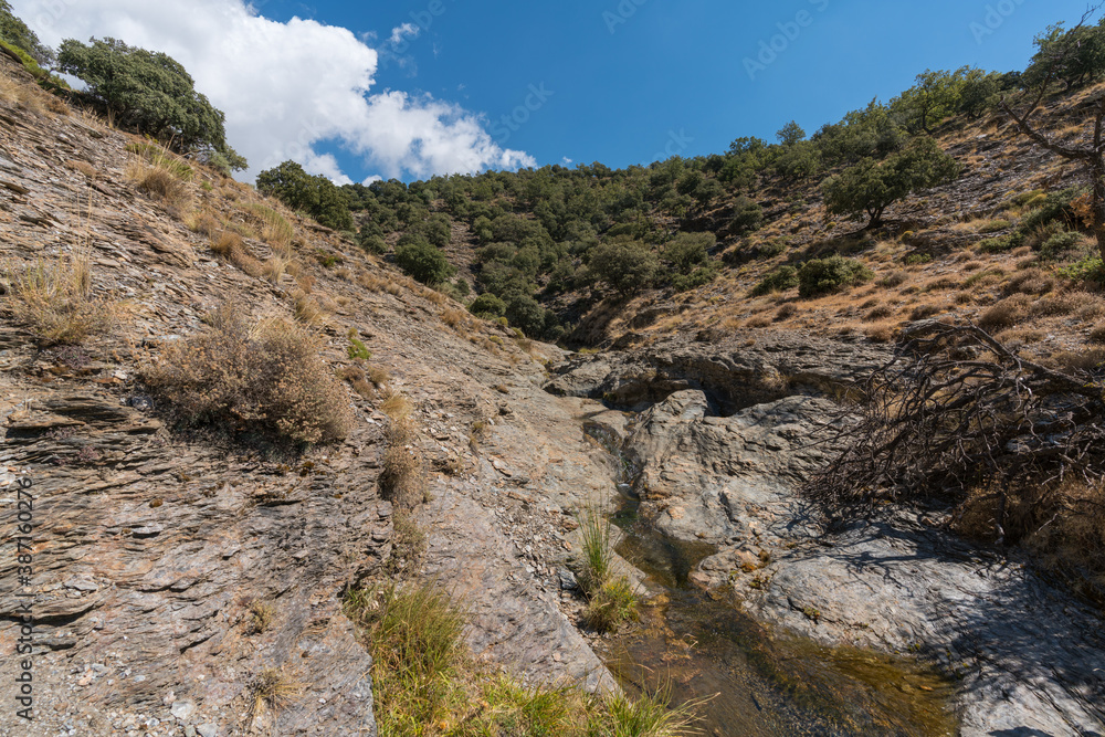 Water flowing down a ravine in the Sierra Nevada