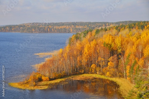 On a clear sunny day, a wonderful autumnal view opens from the cliff over the bay with blue water, trees clad in yellow foliage, Top view, Karelia