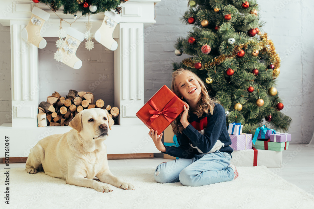 joyful kid in warm sweater sitting near labrador and holding present in decorated living room, christmas concept joyful kid in warm sweater sitting near labrador and holding present in decorated living room, christmas concept