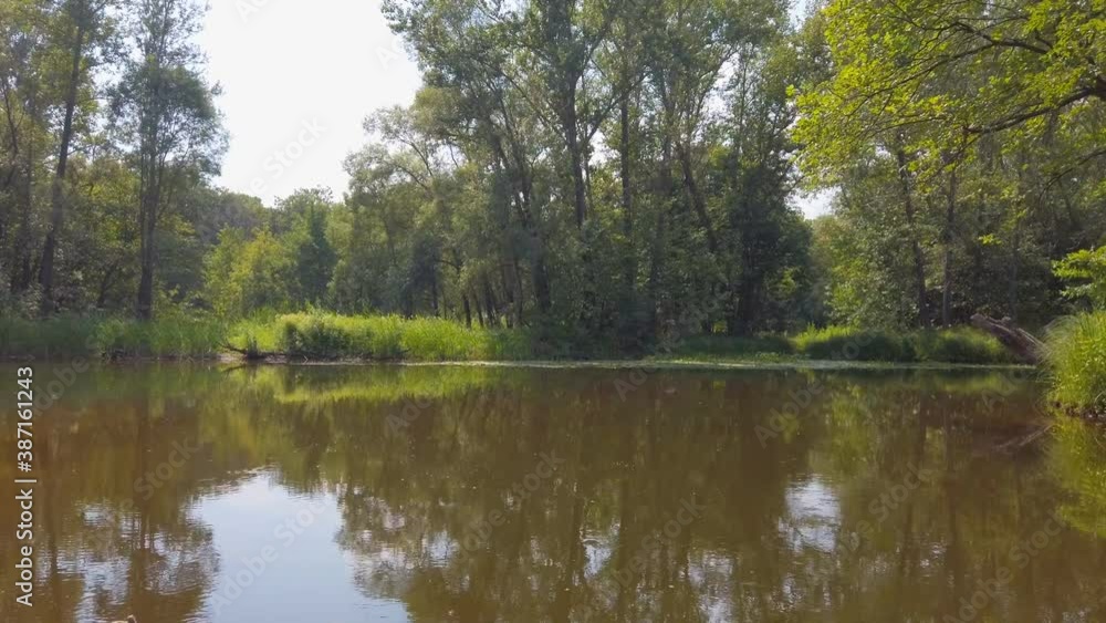 A small motor boat moves along a small river or Bayou with banks overgrown with green forest or jungle A small motor boat moves along a small river or Bayou with banks overgrown with green forest or jungle