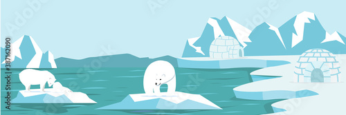 North pole Arctic with Polar bear and cub landscape