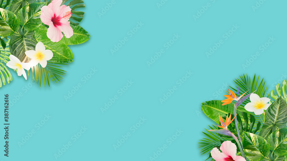 Obraz premium Tropical green leaves