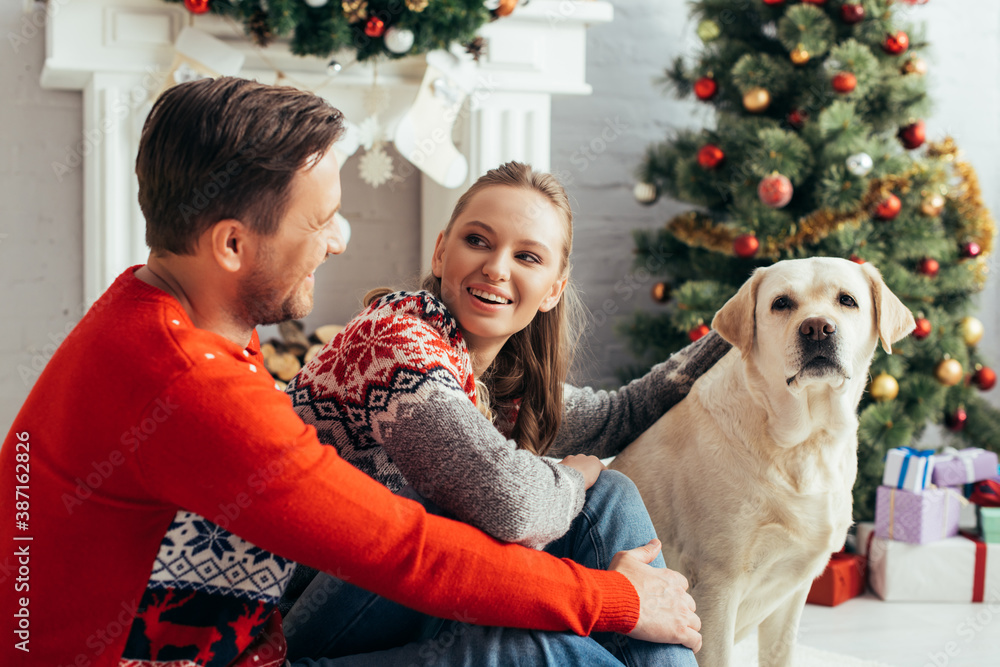 happy couple cuddling dog near christmas tree at home happy couple cuddling dog near christmas tree at home