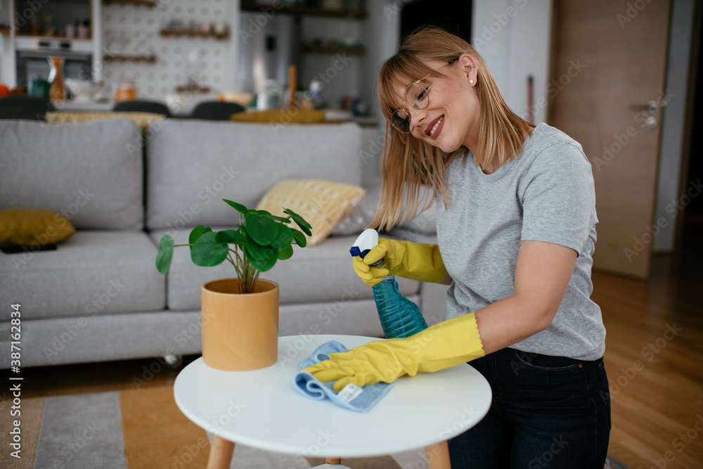 Young attractive woman cleaning home. Young beautiful woman at home Young attractive woman cleaning home. Young beautiful woman at home