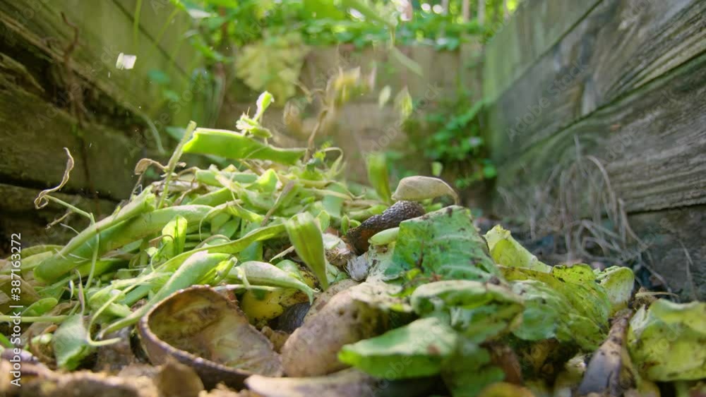 Runner bean pods being added to a compost heap in 60fps slow motion Runner bean pods being added to a compost heap in 60fps slow motion