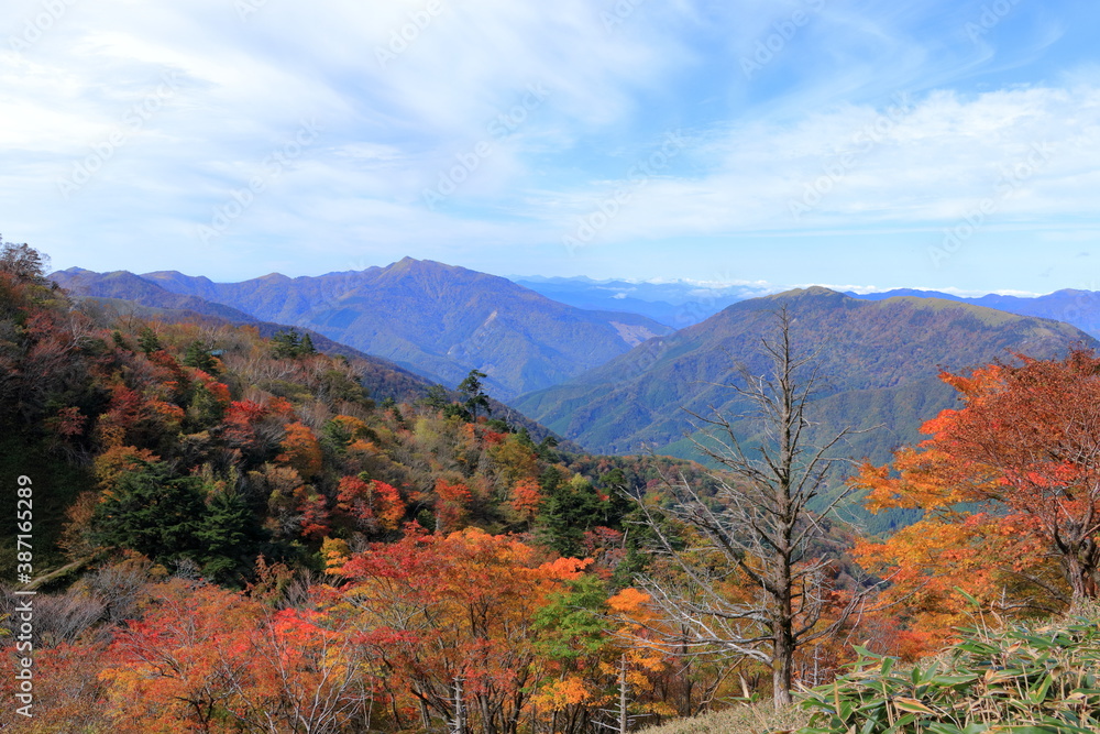 剣山　登山道からの風景　紅葉　（徳島県）