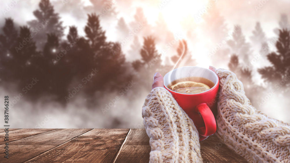 Red cup with coffee, tea in female hands on a snowy background, winter forest. A red cup in hands against the background of a winter forest landscape on soft, knitted sleeves. Coffee, tea on a wooden Red cup with coffee, tea in female hands on a snowy background, winter forest. A red cup in hands against the background of a winter forest landscape on soft, knitted sleeves. Coffee, tea on a wooden