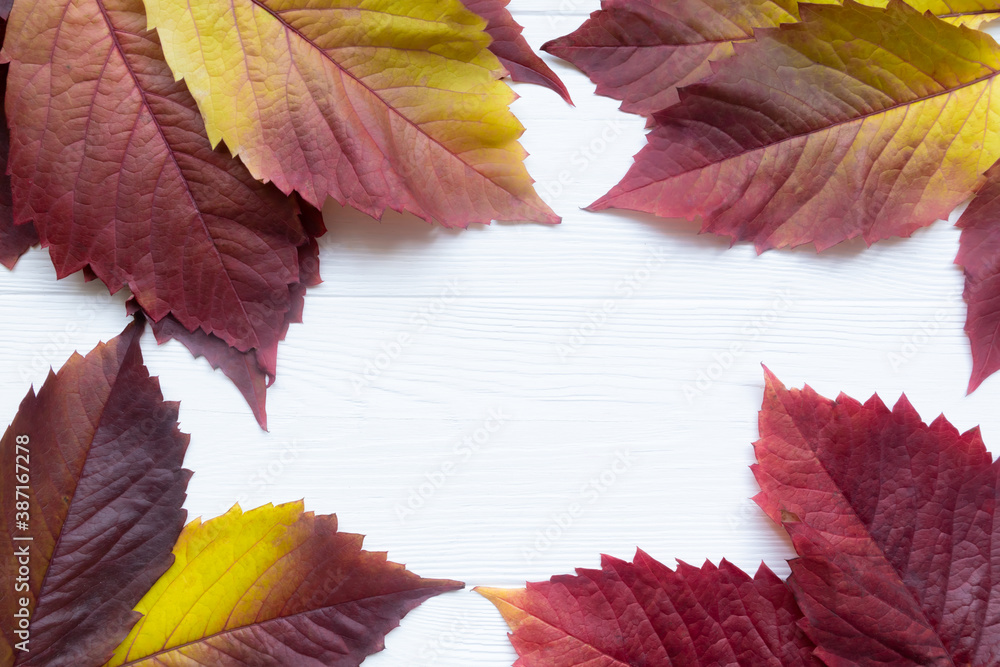 autumn leaves frame autumn leaves frame