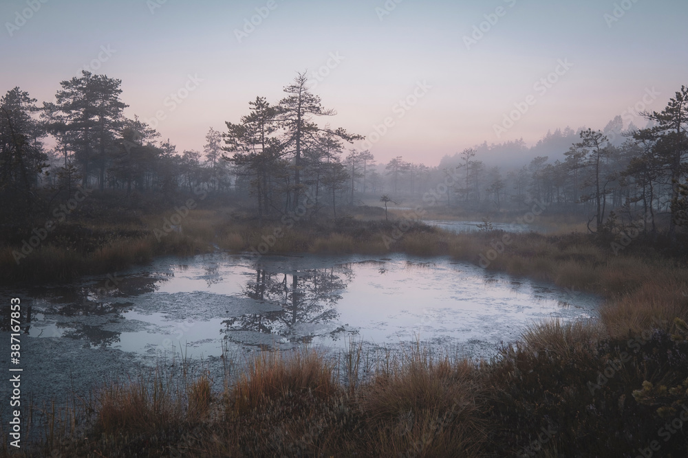 Fototapeta premium Small lake at foggy dawn in autumn. Moody landscape. Swamp Ozernoye National Park in Leningrad Region Russia.