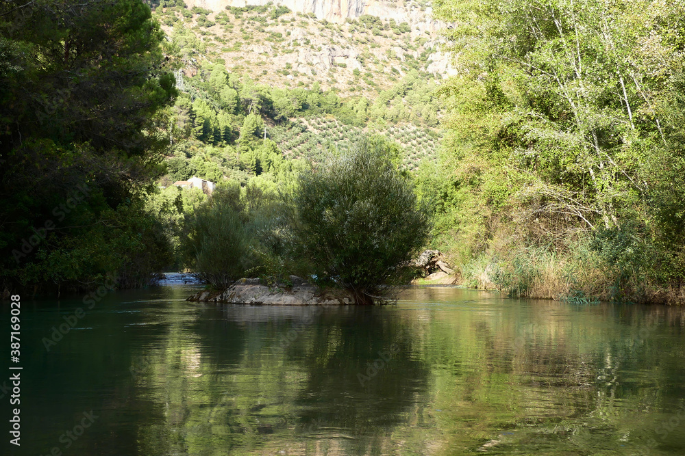 Mediterranean landscape. Mediterranean landscape.