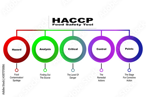 Diagram of HACCP - Food Safety Tool with keywords. EPS 10