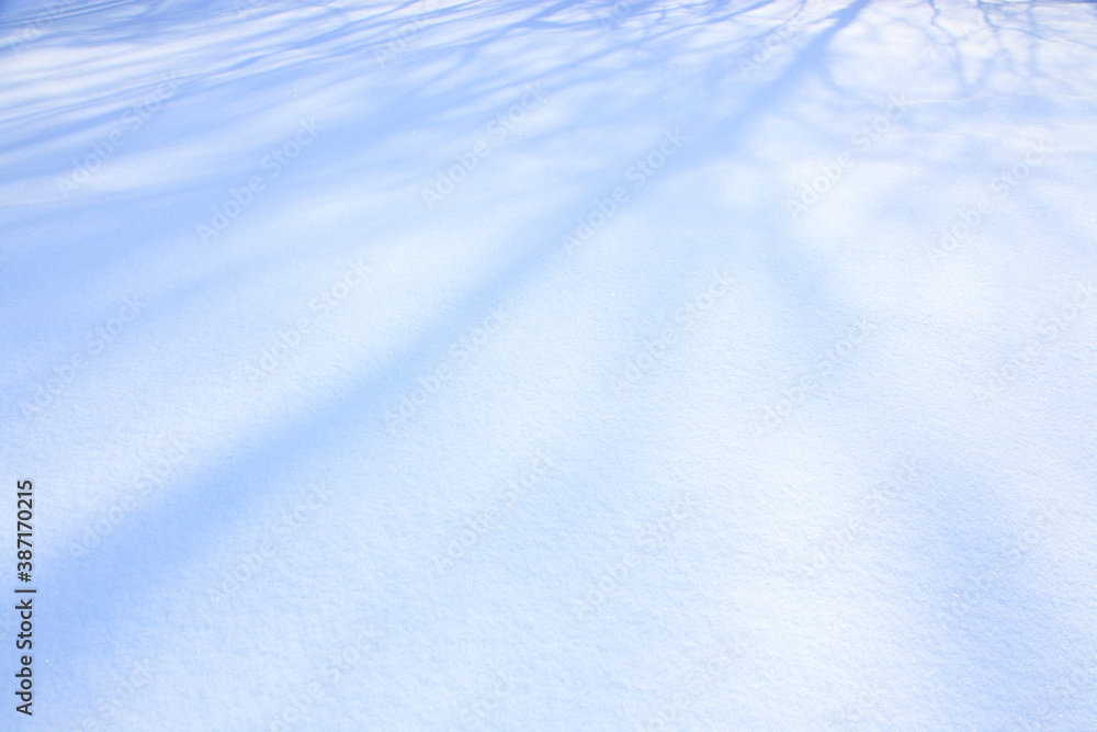 Obraz premium 雪原の影