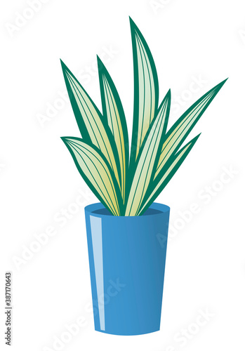 potted flower with long green leaves with light stripes