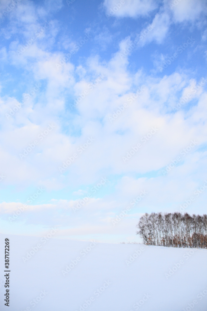 雪原と青空