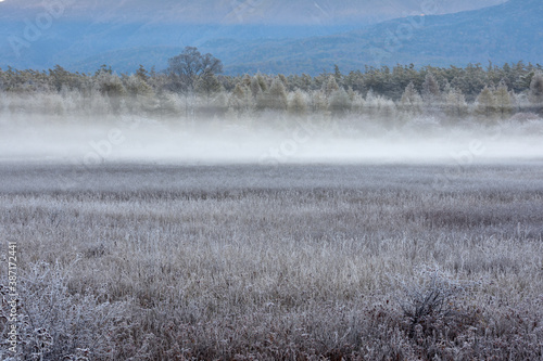 Wallpaper Mural 栃木県の日光、小田代ヶ原の風景（晩秋の早朝、日の出前） Torontodigital.ca