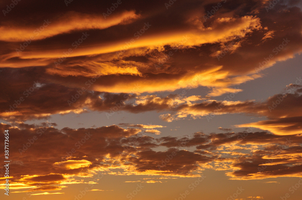 Fototapeta premium 青空、白い雲