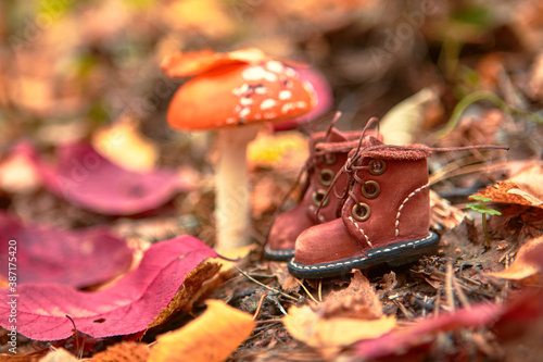 Cute handmade leather shoes for a fabulous creature stand in the woods