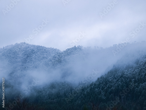 Fog in the hill forests