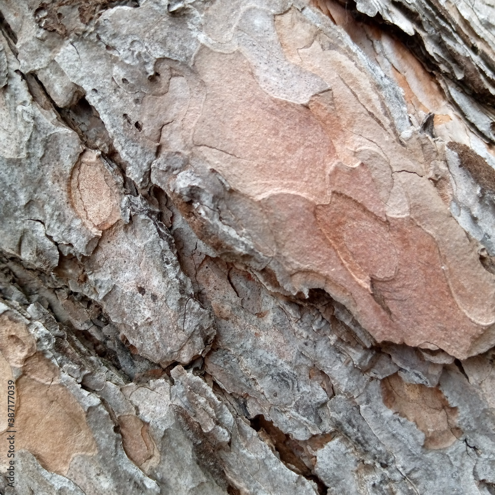 texture texture