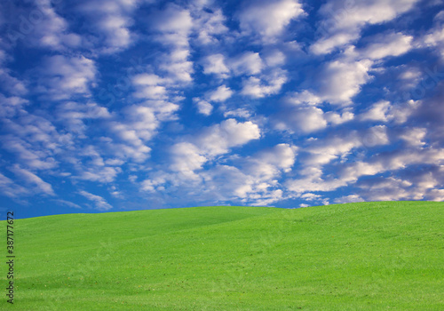 Garden grass with beautiful sky.