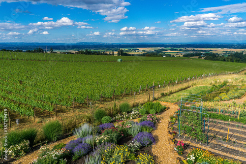 Brooks Wines, Amity, Willamette Valley, Oregon, USA